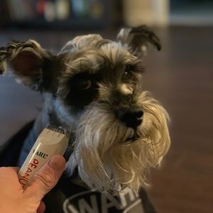 Meet your Posher, Matthew